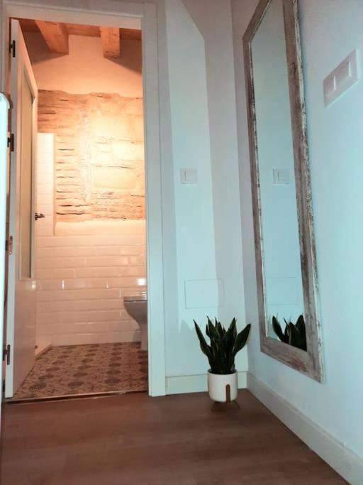 Loft Centrico Con Patio Bodega San Javier Apartment Jerez de la Frontera Exterior photo